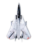 F-14 image - the plane from Top Gun